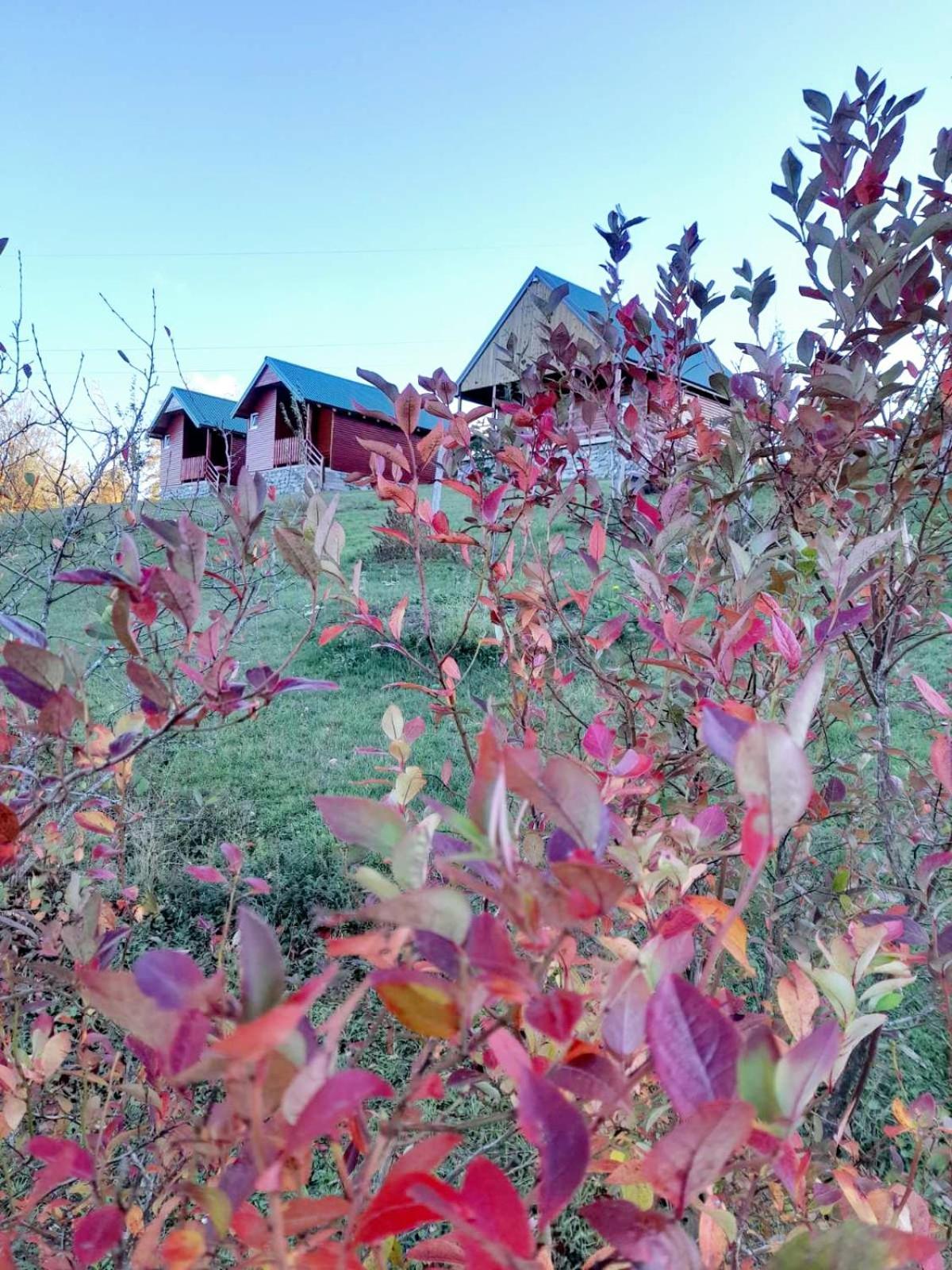 מויקובאץ Eco Village Coric מראה חיצוני תמונה