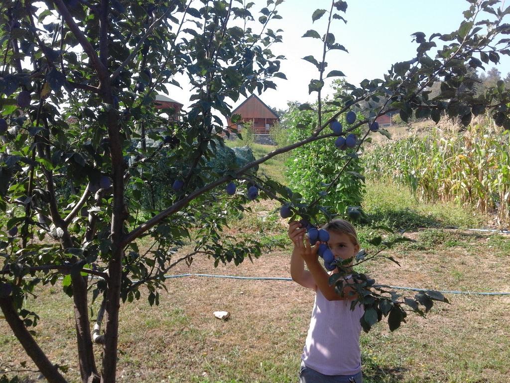 מויקובאץ Eco Village Coric מראה חיצוני תמונה