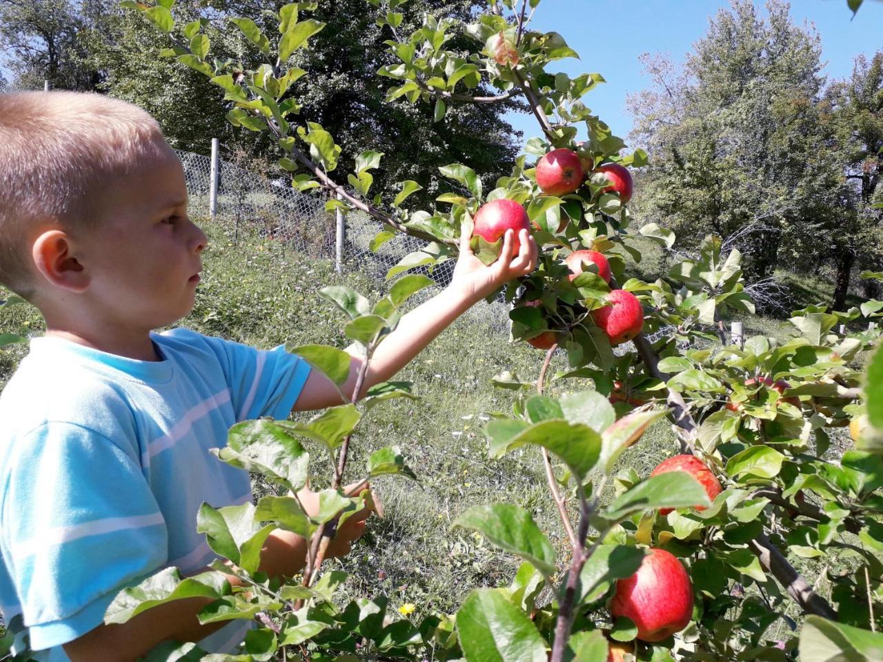 מויקובאץ Eco Village Coric מראה חיצוני תמונה